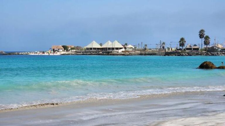 20230326_131013-600×337-800×449-1