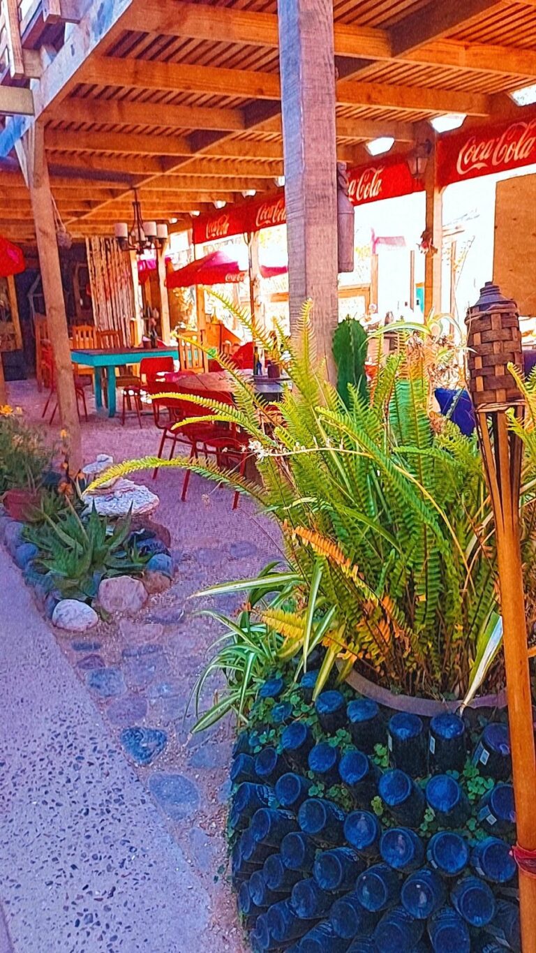 ZONAL-GMAPS2-0073442BDA723F10