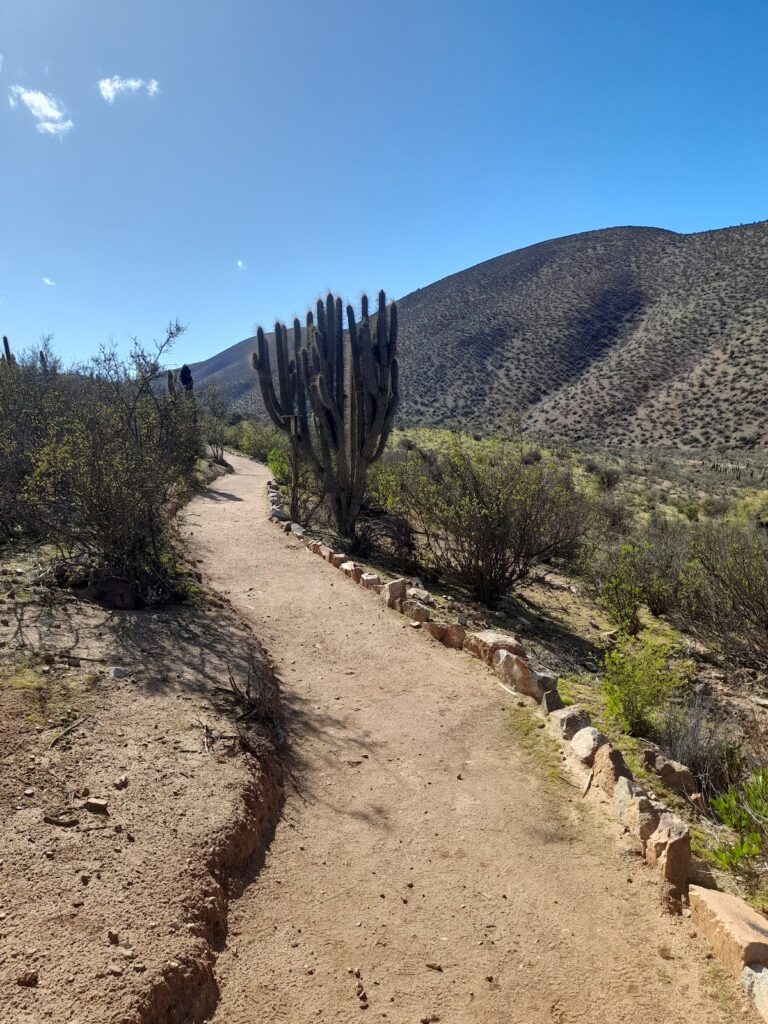 ZONAL-GMAPS2-25C6907212C81F4F